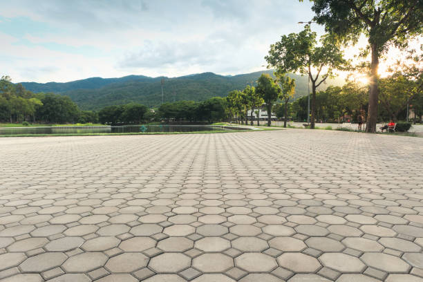 Professional Driveway Pavers in Tucson Estates, AZ